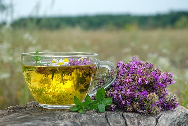 تصویر 4 از قیمت خرید عرق کاسنی اردو + فروش ویژه